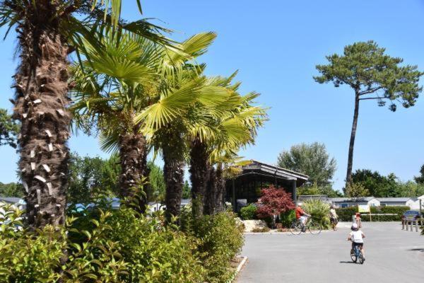 Mobil Home Xxl - Bord Lac - Camping Les Viviers - Lege Cap Ferret Eksteriør bilde
